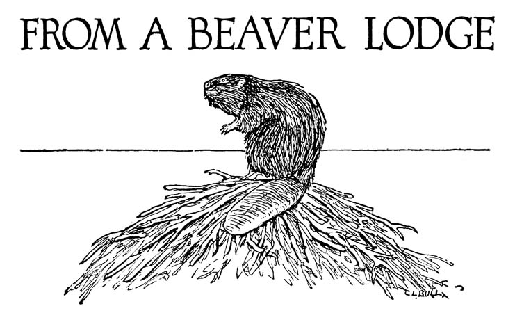 FROM A BEAVER LODGE